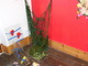 Art: image 5 Of 21 thumbs